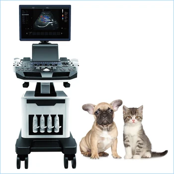 Sanitar-veterinare de înaltă calitate 3D 4D ecografie doppler color portabil sistem de mașini pentru animale de companie câine pisică