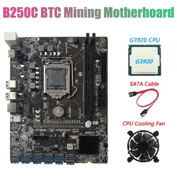 B250C BTC Mining Placa de baza cu G3920 PROCESOR+Ventilator+Cablu SATA 12XPCIE să USB3.0 Grafică Slot pentru Card LGA1151 Suport DDR4 RAM