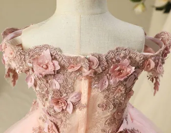 Pe Umăr Roz Floare Prințesă Fete Rochii Pentru Nunti 3D Florale Aplicatie din Dantela Copii Uzura Formale Lung Rochie Concurs